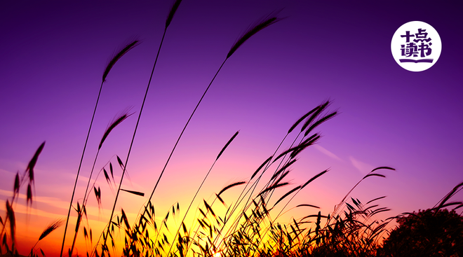 梦境解析，梦见鱼缸鱼跃而出，奋力回收的深层含义