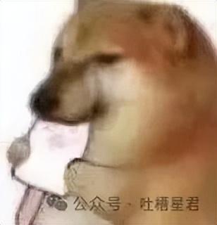 梦见狗咬己死的人，一场跨越生死的梦境启示录
