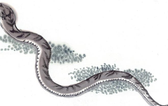 梦游水泽，蛇影交错中的鱼跃——解析梦见很多蛇在水中游，我在水里又捉到很大的鱼的深层含义