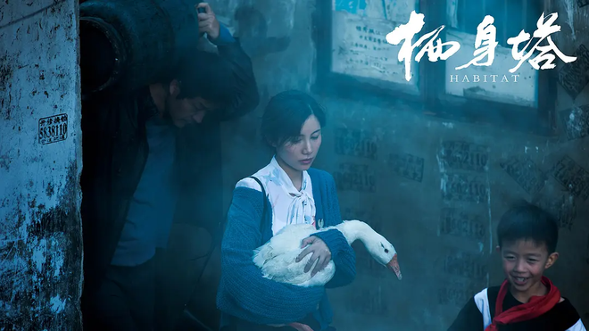 梦境交织的情感迷雾，探索女性梦境中的情感冲突与自我认知