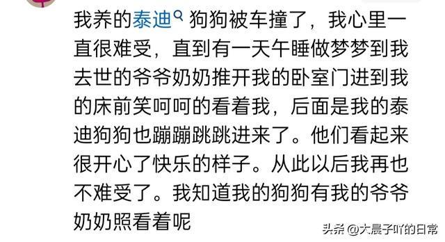 梦境中的冲突与和解，解析梦到和亲戚吵架的深层含义