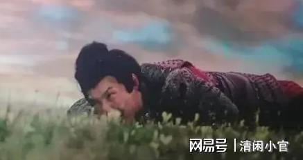 梦见救一只受伤的鸟，心灵深处的呼唤与自我救赎之旅