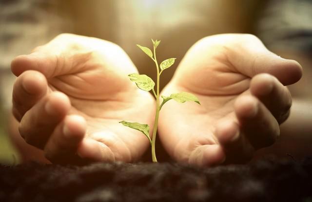 梦境中的微妙启示，梦见被小蛇轻咬后松口，预示着什么？