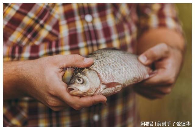 梦回母爱，解析我昨晚梦中为母亲捉虱子的深层含义