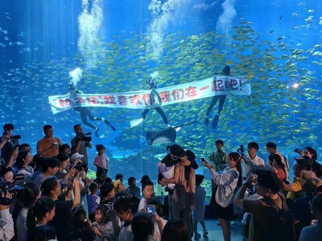 梦境交织，爱河中捞起的奇迹与收获的鱼