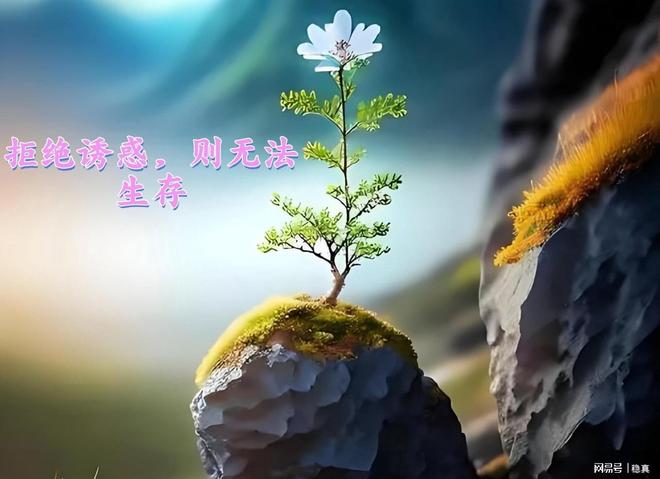 梦见去世的亲人，心灵的慰藉与未来的启示