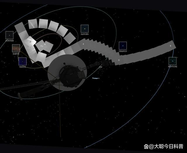 梦见抓了一只王八，探索梦境背后的深层含义与启示