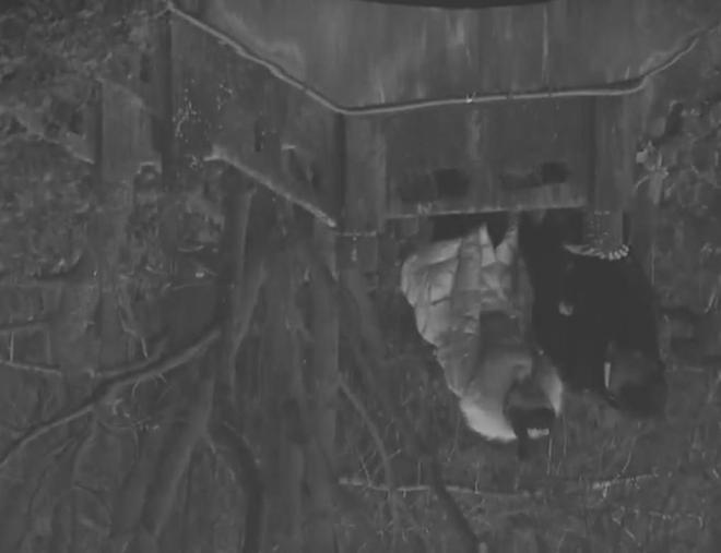 梦境迷离，解读梦见死人把棺材里放的深层含义