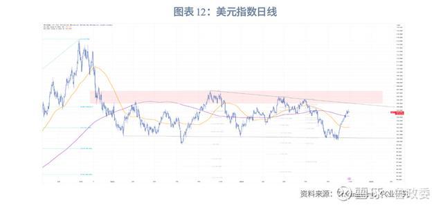 外匯商品｜美元多重超買待反轉(zhuǎn)2024年11月G7匯率前瞻