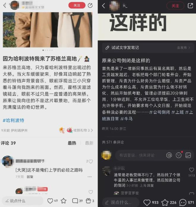 丁磊盯上小红书，网易要大搞种草社交，你看好吗？