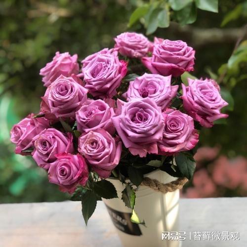 梦境中的浪漫花语，解析梦见自己种玫瑰花并亲自采摘的寓意