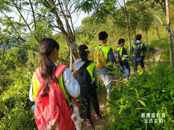 「自然探索營」2.12／16茶光手作步道徒步登山，欣賞自然、開發(fā)想象力！
