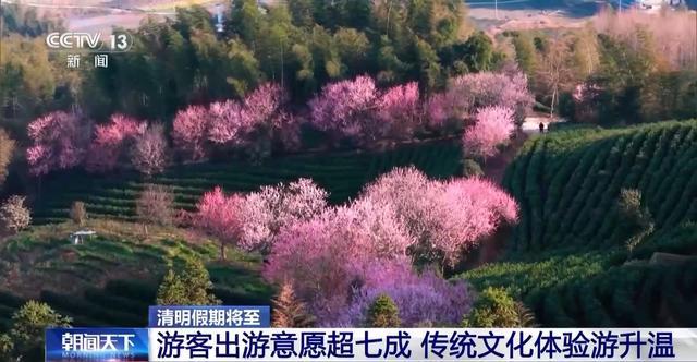 清明假期“遇上”周末 周边游火爆 赏花民俗体验热度攀升