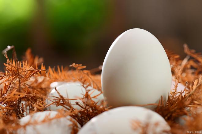 梦境解析，捡到无数鸡蛋与鹅蛋的象征意义及心理暗示