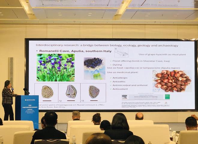 海外文化遗产保护经验分享,从阿皮亚古道到洛曼塘王城的保护之路