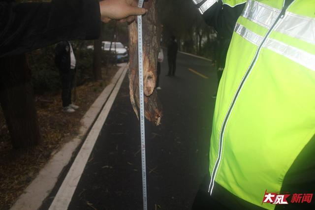 抖音24小时自助服务平台，最低价秘诀揭秘？