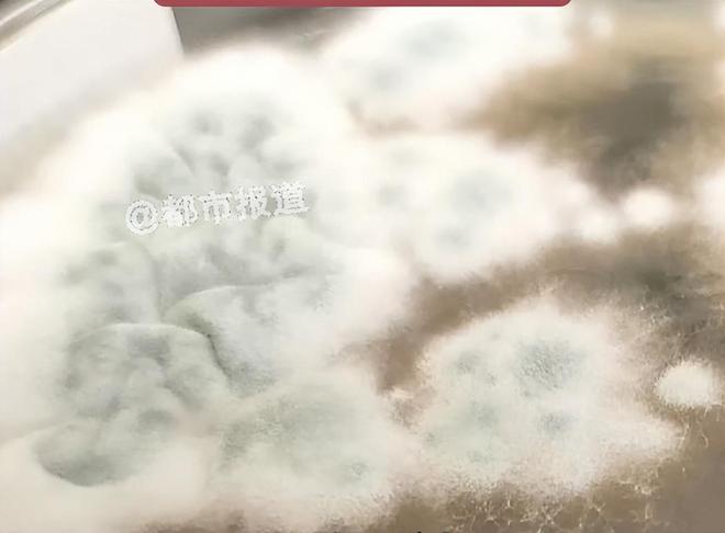 抖音业务平台，低价服务真的靠谱吗？