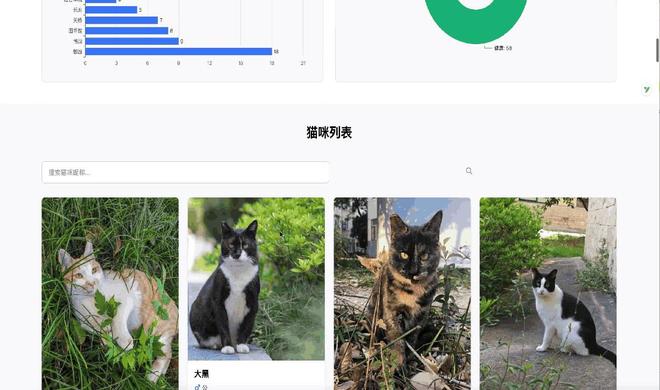 南航流浪猫获电子学籍，超过60只猫咪正式注册管理