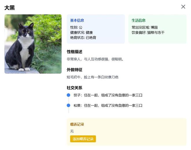 南航流浪猫获电子学籍，超过60只猫咪正式注册管理