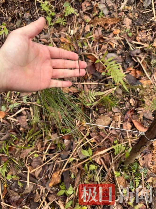 如何用3元轻松获得1000快手粉丝？揭秘秘诀！