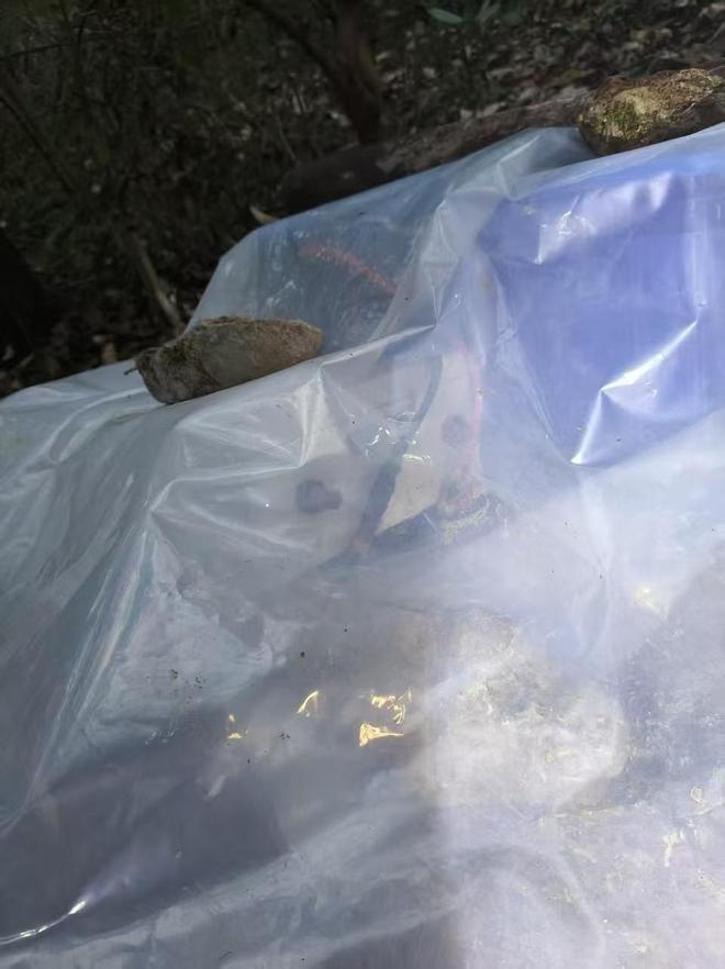 如何用3元轻松获得1000快手粉丝？揭秘秘诀！