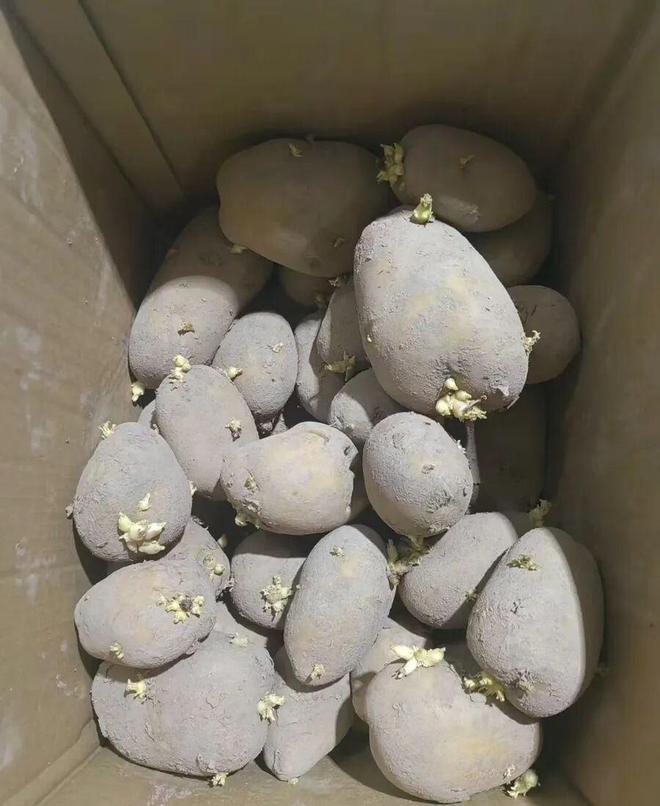 dy業(yè)務如何輕松實現低價自助下單？揭秘高效軟件優(yōu)勢！