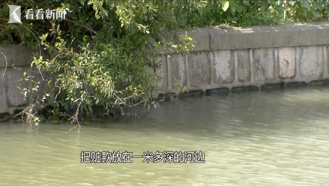 快手自助下單平臺，業(yè)務(wù)免費？揭秘高效便捷的購物新體驗！