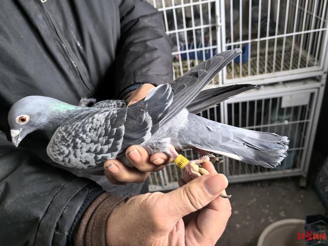 揭秘快手認(rèn)證業(yè)務(wù)平臺：如何輕松提升賬號影響力？