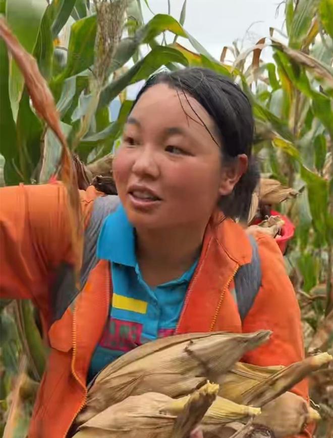 免費(fèi)QQ空間說(shuō)說(shuō)贊10個(gè)，如何輕松實(shí)現(xiàn)？揭秘高效點(diǎn)贊技巧！