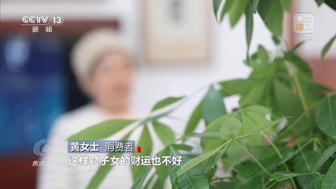 抖音粉丝业务平台入口：揭秘高效吸粉秘籍？