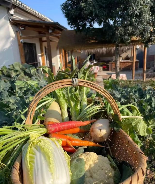 抖音一元一万黑粉？揭秘低成本网络黑粉操作真相