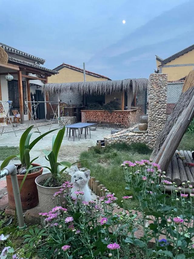 抖音一元一万黑粉？揭秘低成本网络黑粉操作真相