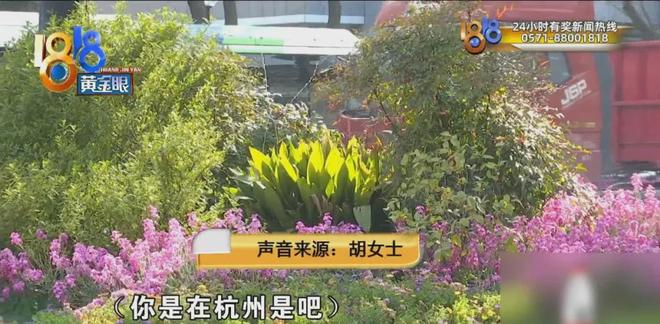 抖音刷红包，自助下单真的安全可靠吗？