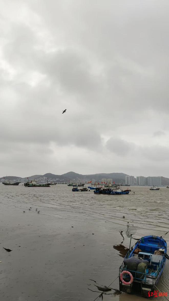 揭秘：QQ自助下单网站免费，如何轻松购物？