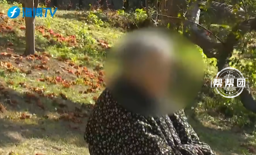 抖音点赞业务，24小时低价下单，网站推荐哪家强？