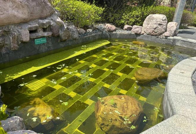 清明踏春|赴知春湖之约，赏春景泡暖汤，解锁假期松弛感