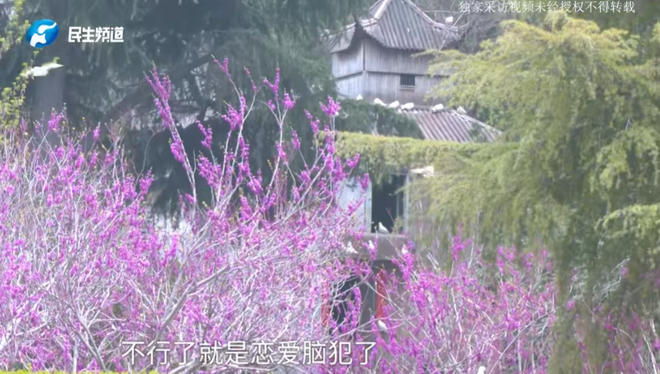 初心dy刷业务自助下单平台，如何轻松开启高效刷单之旅？