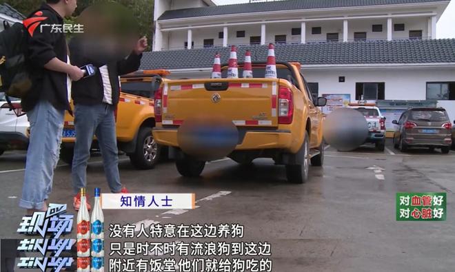 说说赞app下载：如何轻松找到你的社交新天地？