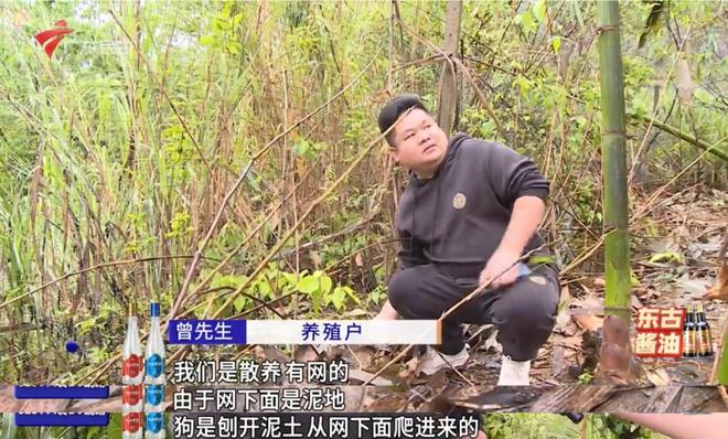 说说赞app下载：如何轻松找到你的社交新天地？