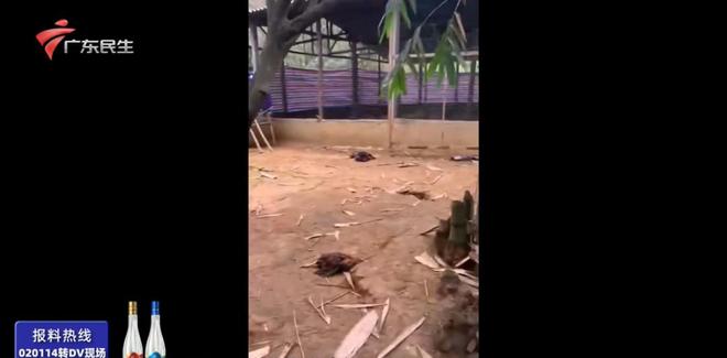 说说赞app下载：如何轻松找到你的社交新天地？