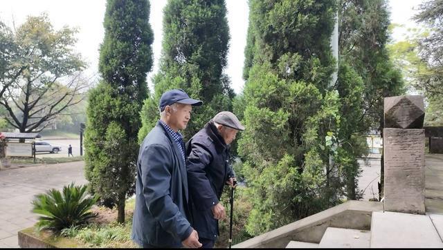 抖音下单自助业务，究竟隐藏在哪个角落？