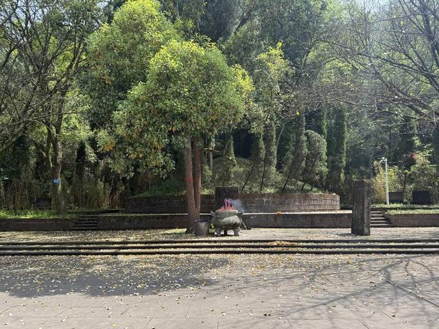 抖音下单自助业务，究竟隐藏在哪个角落？