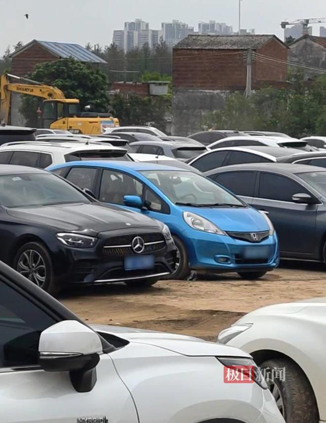 抖音平台业务如何通过dy点赞与微信支付实现双赢？