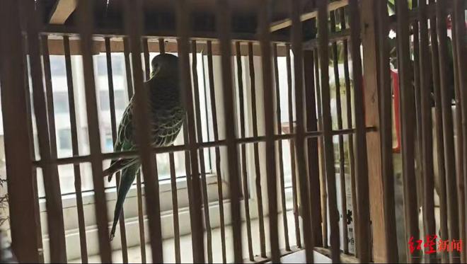 “dy评论如何快速涨赞？揭秘热门技巧！”