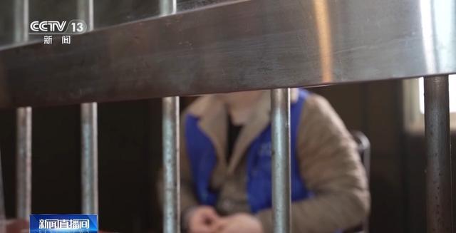 DY点赞平台：24小时自助网站，便宜高效，你确定不试试吗？