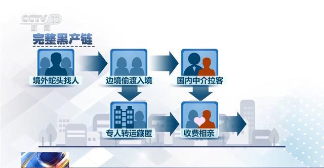 DY点赞平台：24小时自助网站，便宜高效，你确定不试试吗？