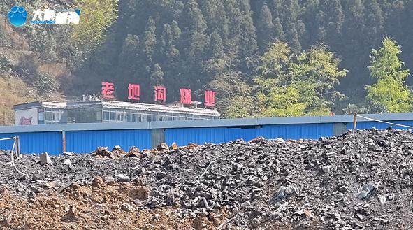 dy赞自助下单平台，免费体验真的香吗？