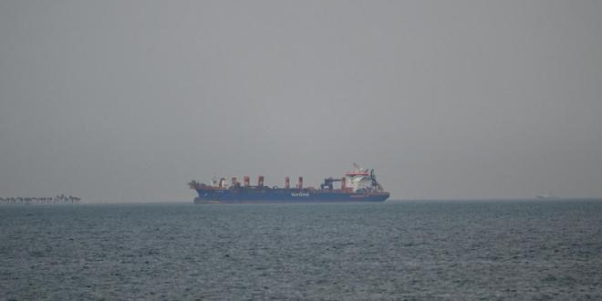 抖音买热度网站，真的便宜又有效吗？