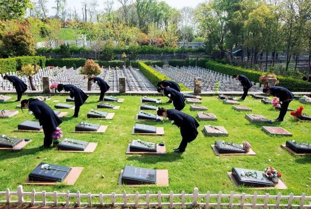 dy举报业务下单平台，如何轻松高效处理举报？揭秘！