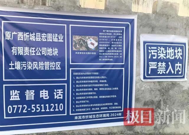 抖音雷神网：揭秘抖音网红的神秘力量？